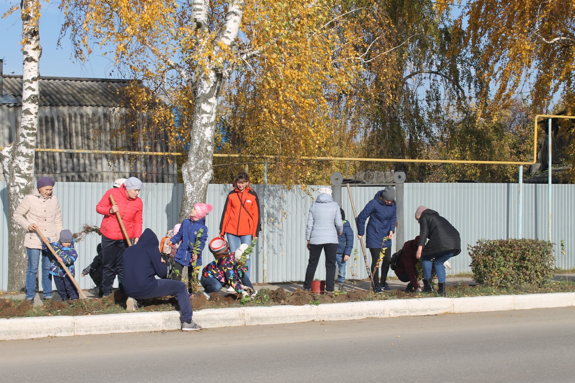 Мамадышта көзге агач утырту бара