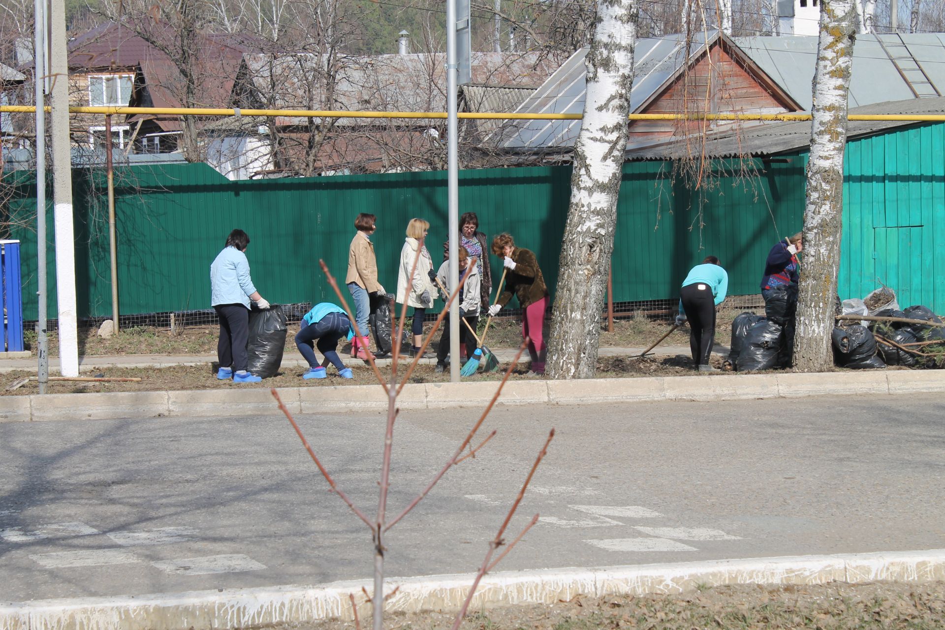 Сегодня учреждения города организовали экологическое мероприятие