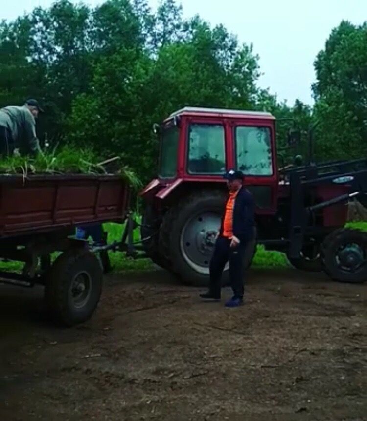 Подготовка к Гырон Быдтону идет полным ходом