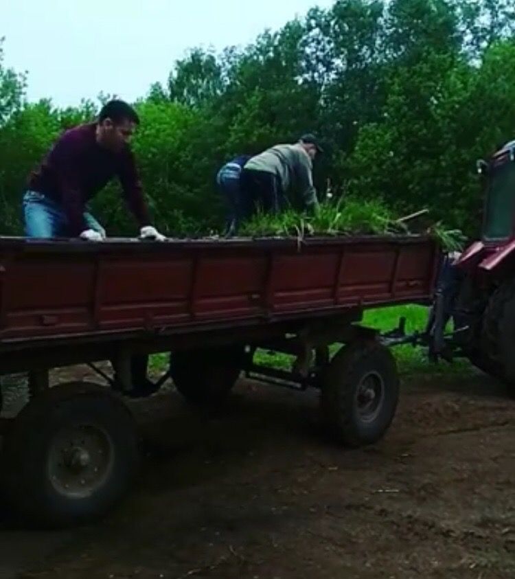 Подготовка к Гырон Быдтону идет полным ходом