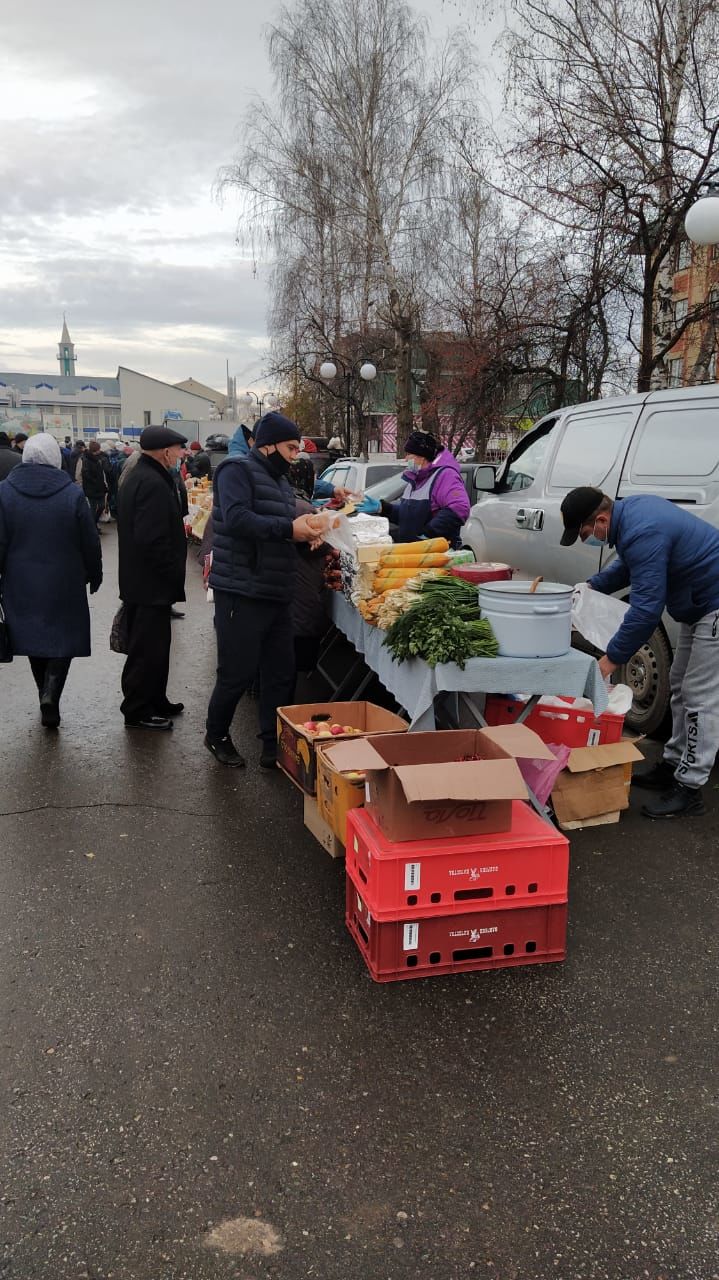 Мамадышта ярминкә гөрли