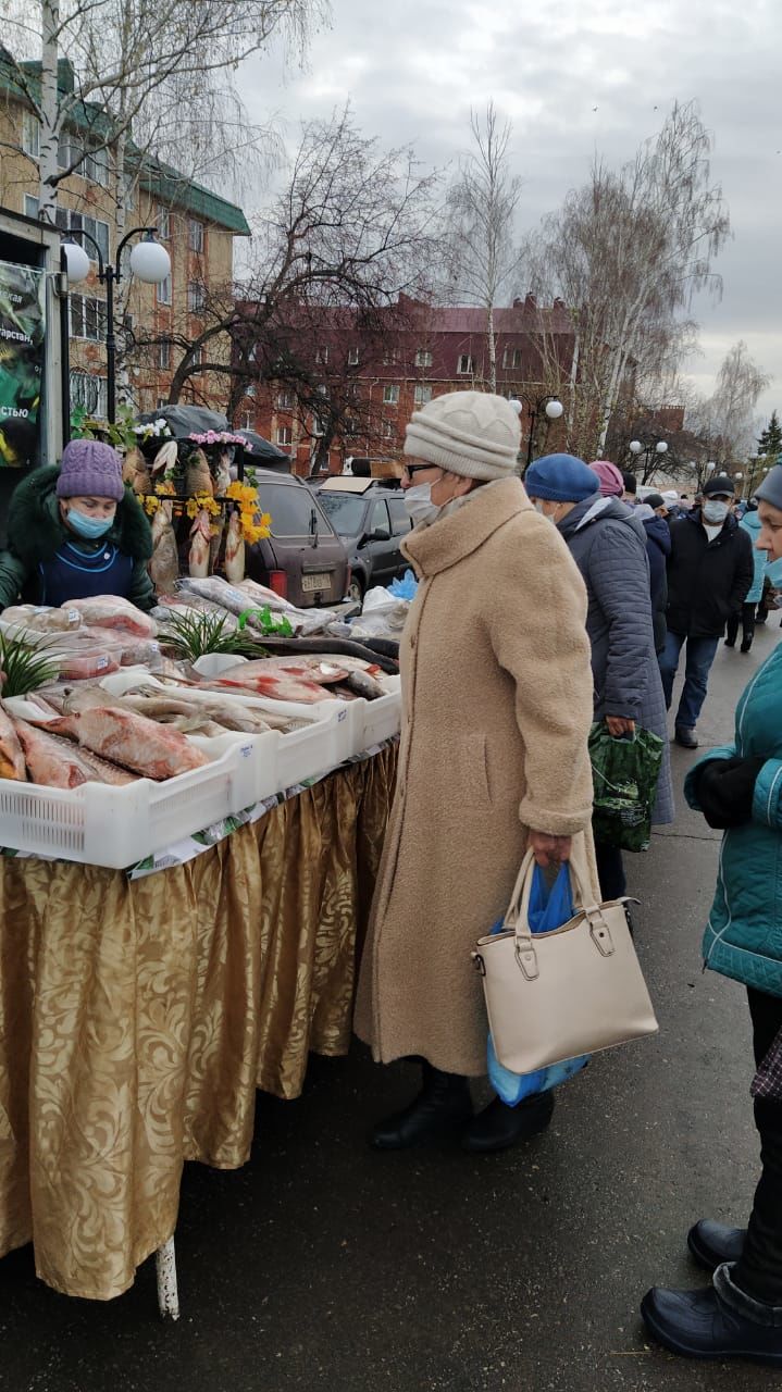 Мамадышта ярминкә гөрли