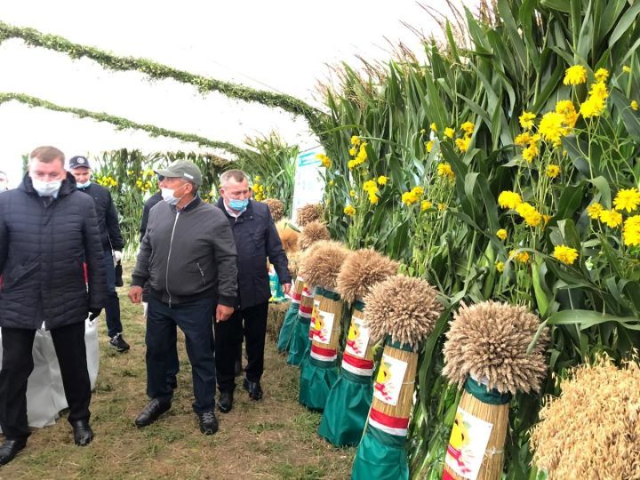 Рустам Минниханов дал высокую оценку уборочной кампании в Мамадышском районе