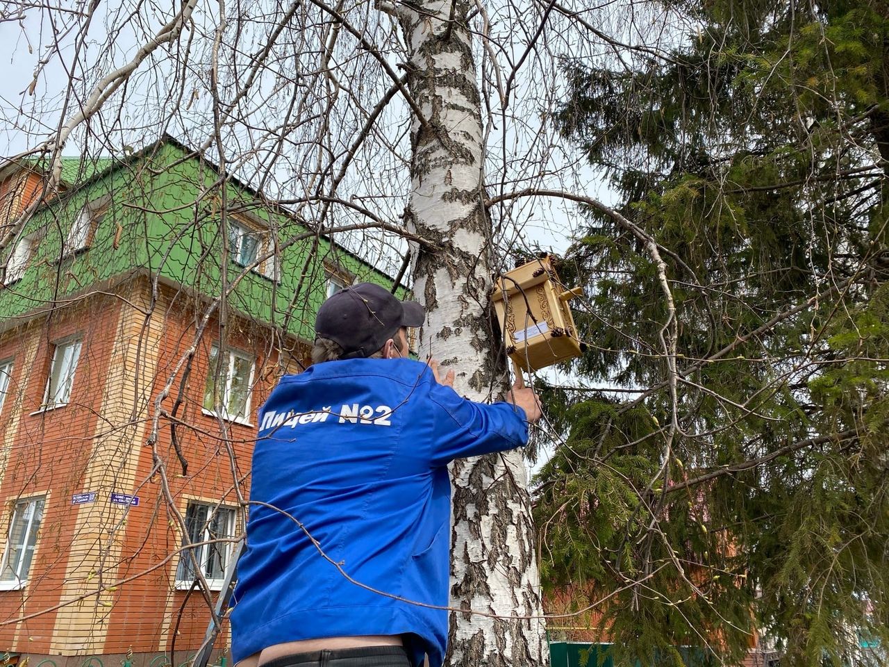 В центре Мамадыша повесили десятки уникальных скворечников