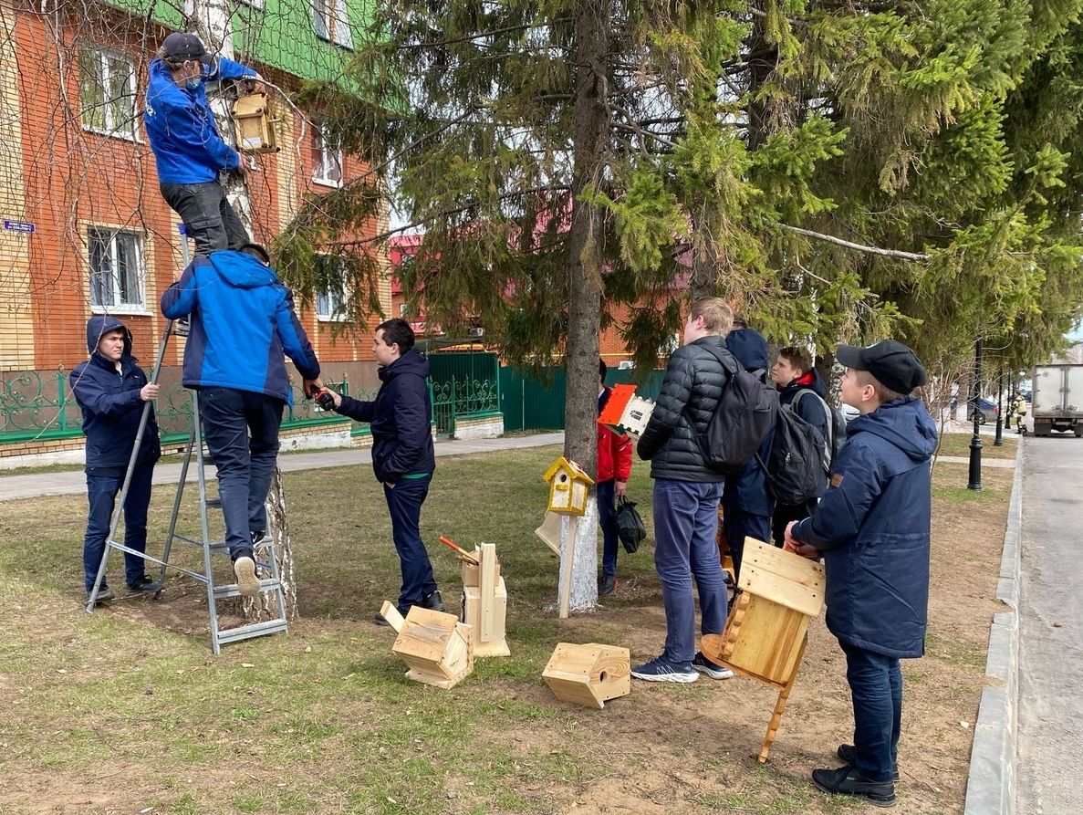 В центре Мамадыша повесили десятки уникальных скворечников