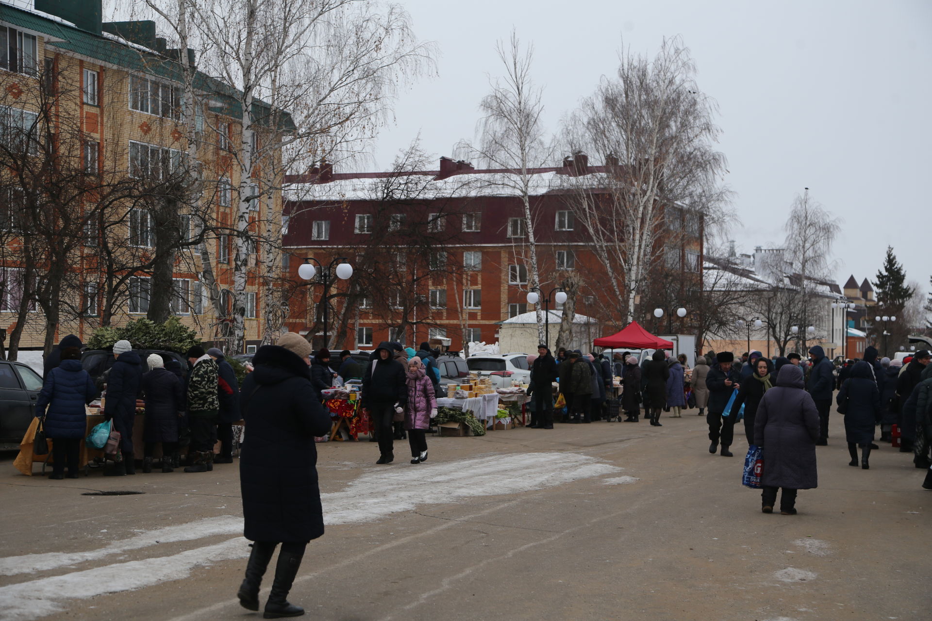 В Мамадыше состоялась очередная сельскохозяйственная ярмарка