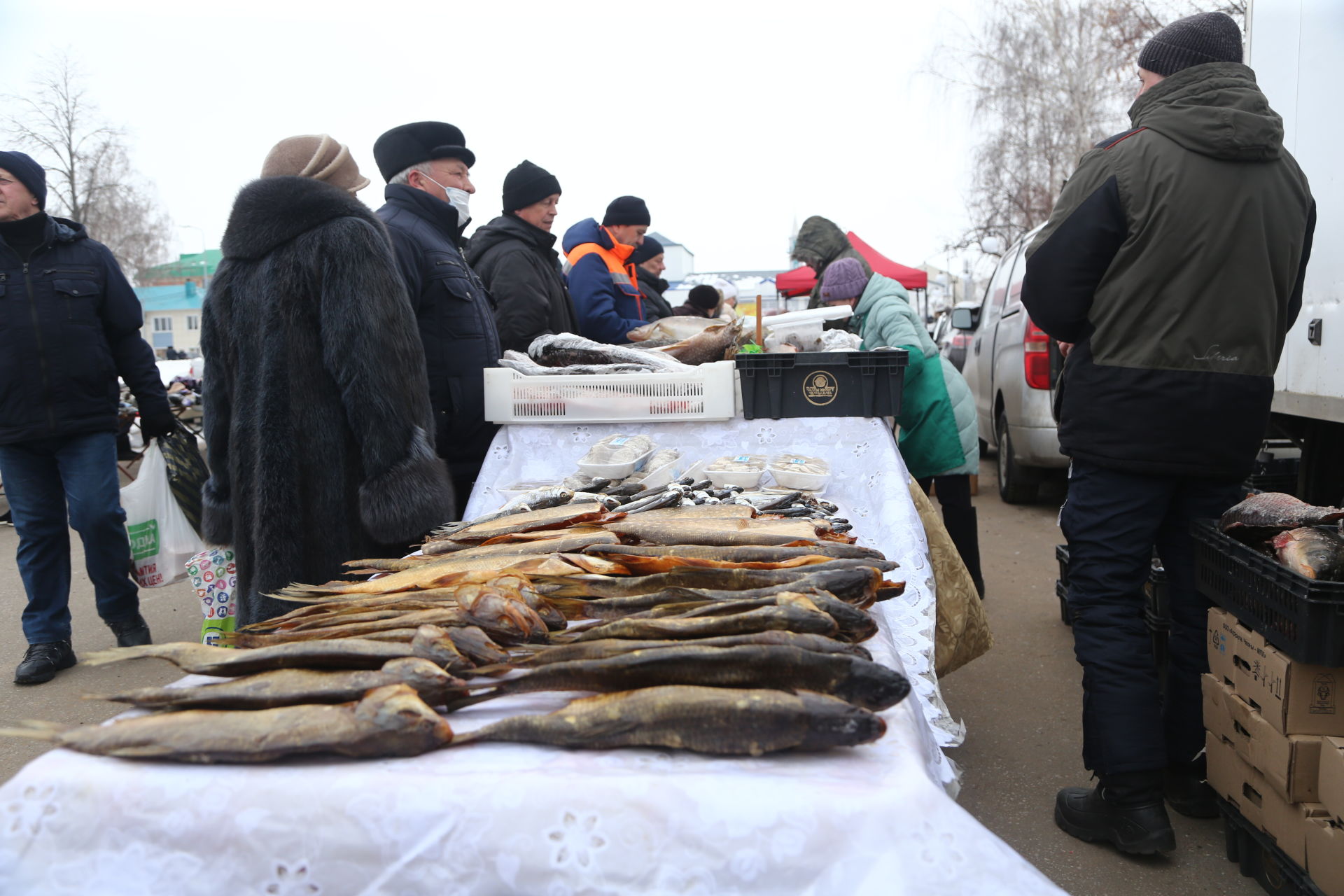 В Мамадыше состоялась очередная сельскохозяйственная ярмарка