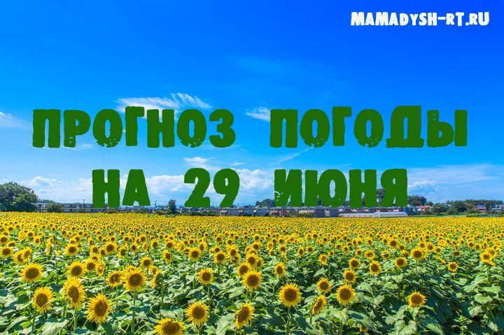 Какая погода будет в Мамадыше 29 июня?