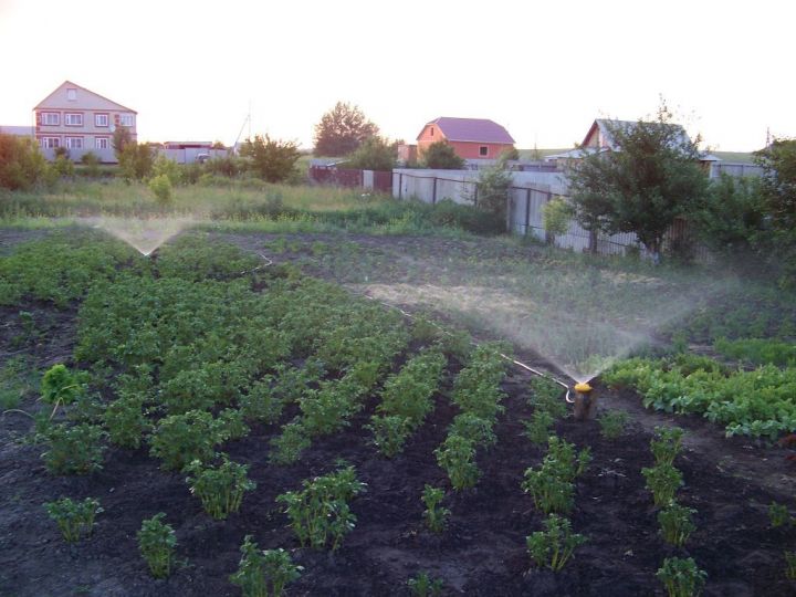 Проблемы с водой на улицах Мамадыша: "Не «Водоканал» виноват, мы сами такие…"