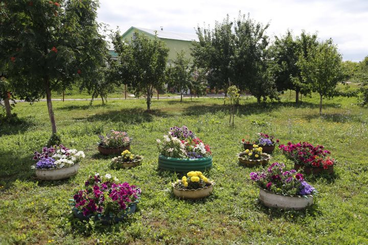 Вот что нужно сделать 18 июля, чтобы притянуть к себе деньги