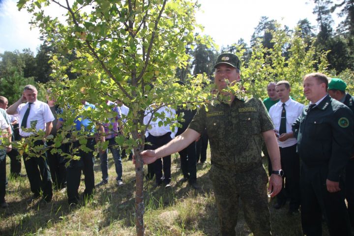 В Мамадышском районе на базе "Камского лесхоза" состоялся республиканский семинар