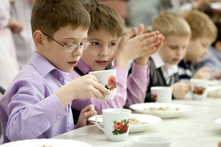 В Мамадышском районе возбуждено уголовное дело в отношении поставщика продуктов питания в образовательные организации