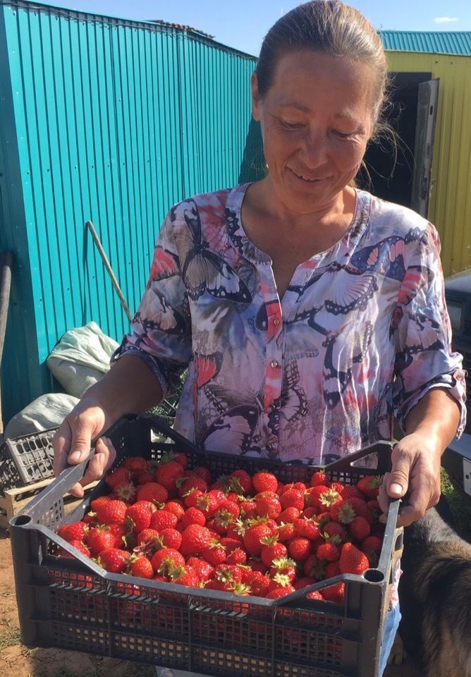 Оксана Писцова: смело продаем все, что вырастили - от декоративных цветов до плодовки