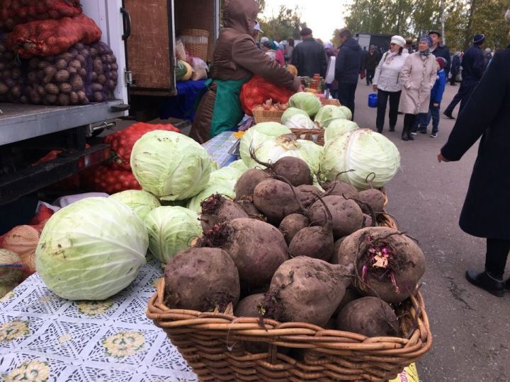 В Мамадыше стартует ярмарочный сезон