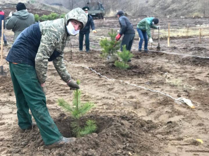 В Мамадыше появился сквер к 100-летию ТАССР