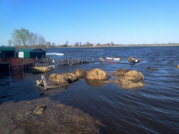 Приусадебные участки мамадышцев ушли под воду