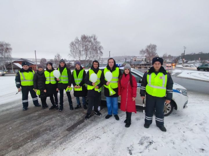 Для чего студенты мамадышского колледжа вышли на городские дороги с белыми шарами