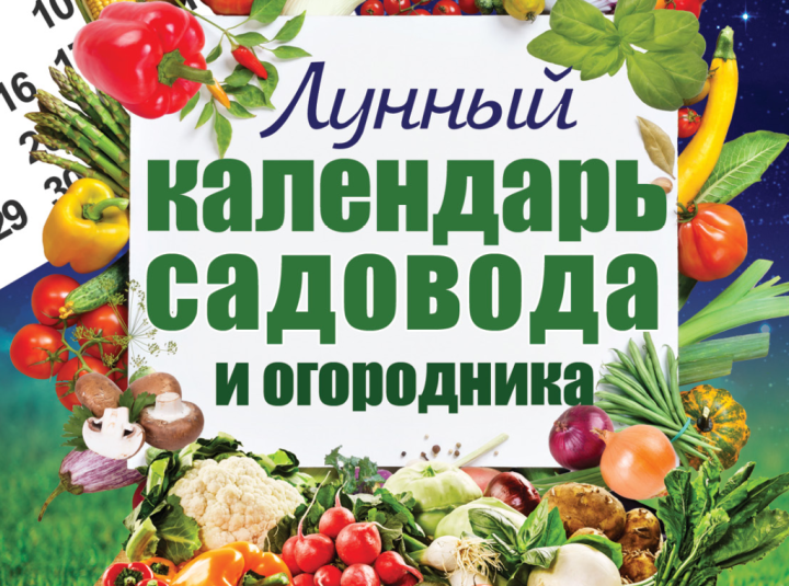 Лунный календарь огородника и садовода на 6 март‎а 2021 года