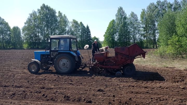 Коллектив Олуязского лицея в прошлом году произвел продукции на сумму около 1 миллиона рублей