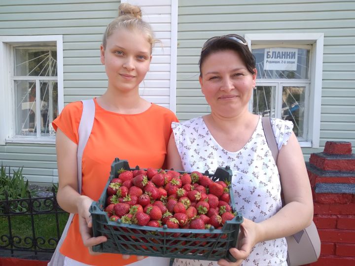 Мамадышские ягоды уехали за 100 километров