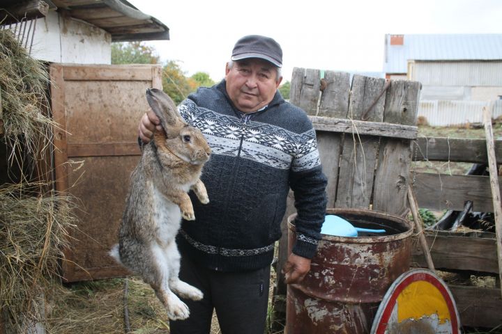 Кролики тоже «кусаются»