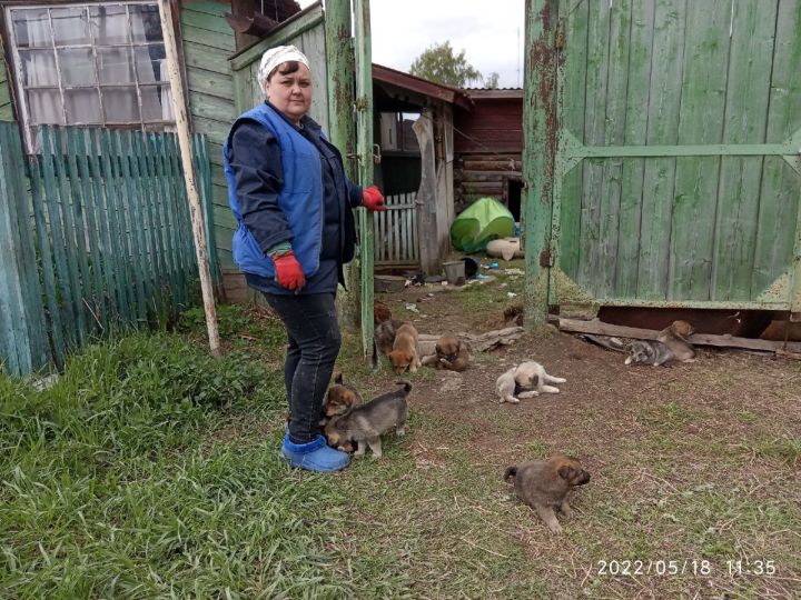 Хочешь преданного  друга – заведи собаку