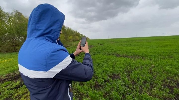 Мамадышским аграриям рассказали, как настроить работу алгоритма по верификации паспортов полей