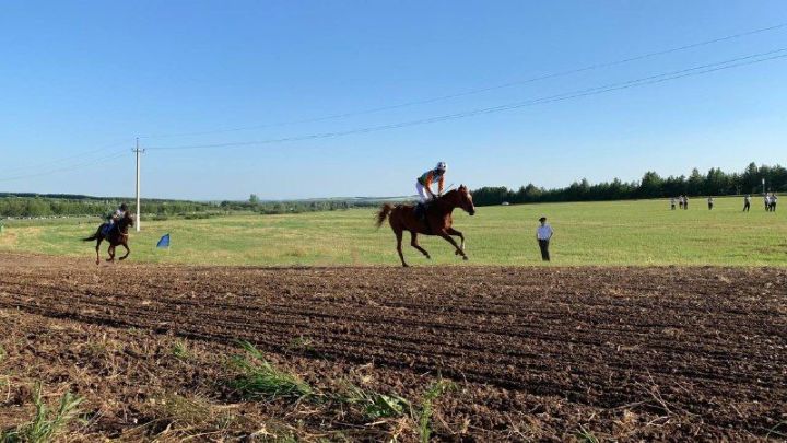 В конных скачках на «Питрау» победу одержала девушка