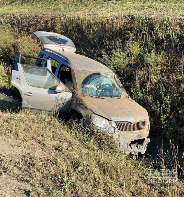 В Мамадышском районе иномарка вылетела с трассы