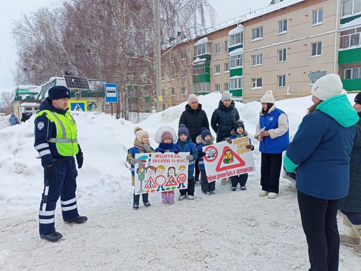 В Мамадыше прошла акция «Водитель, помни о нас»