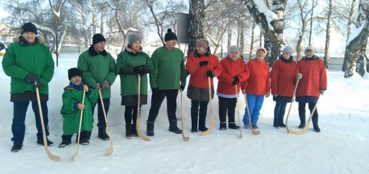 В Мамадышском доме-интернате прошел хоккейный турнир с мячом