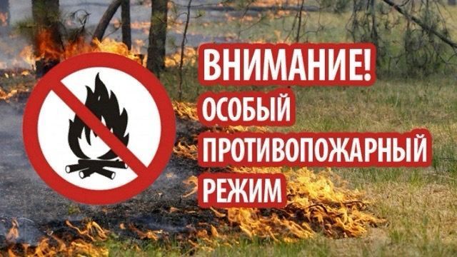 В Мамадыше вводится особый противопожарный режим