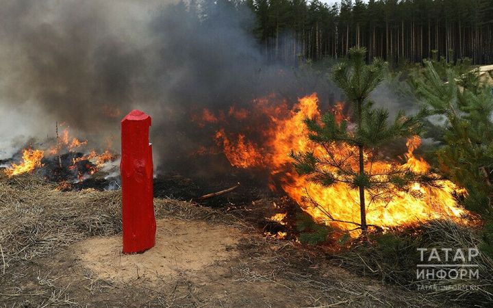 Из-за высокой пожароопасности лесов в Татарстане объявлено штормовое предупреждение