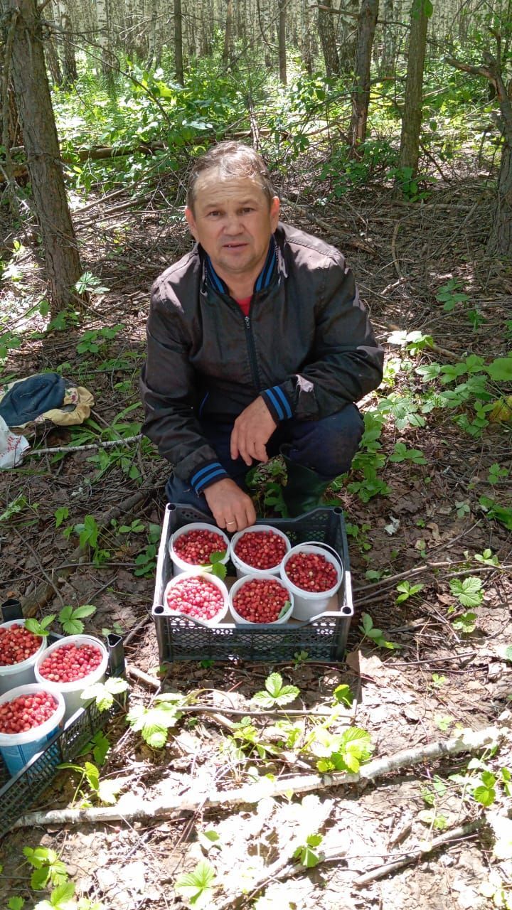 Собирание даров природы помогло ему покрыть ипотеку