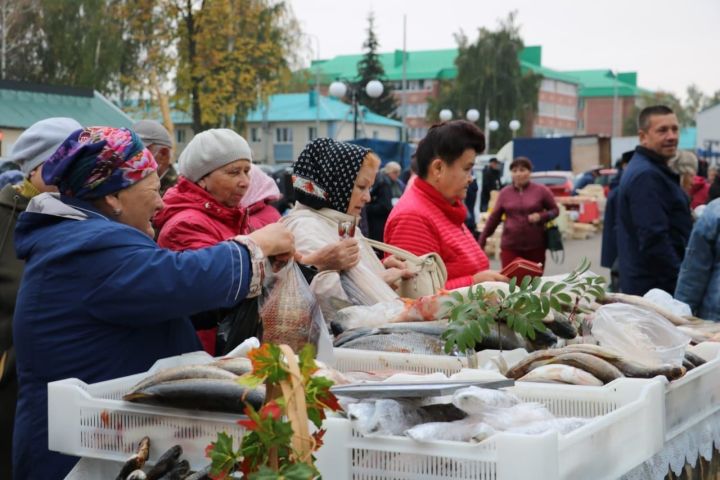 Мамадышцев приглашают на сельскохозяйственную ярмарку